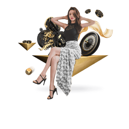 磊落光明网 v4.5.95 官方安装版 1